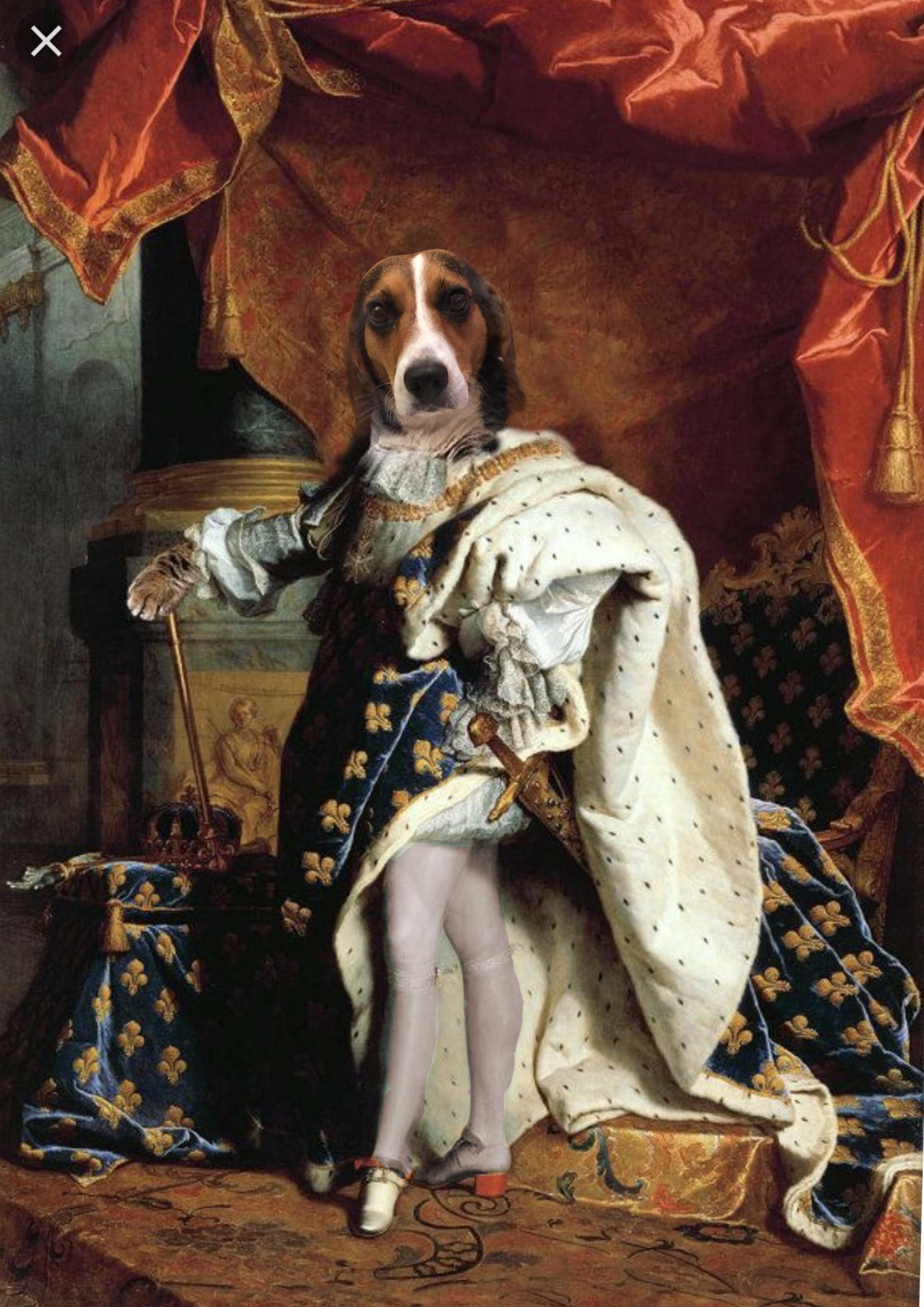 draw portrait of your pet in any clothes