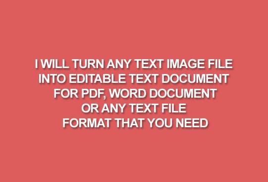 Convert 3000 words from an Image file into an Editable Text File