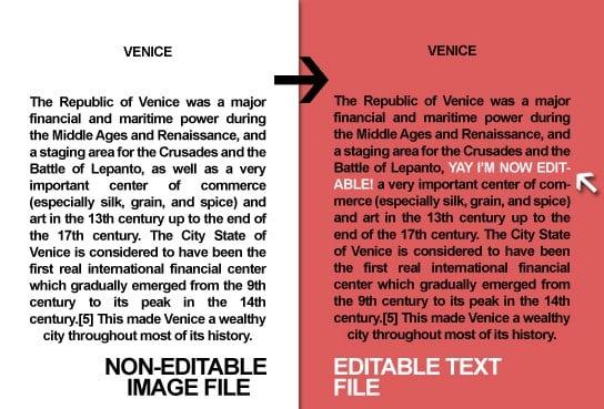 Convert 3000 words from an Image file into an Editable Text File