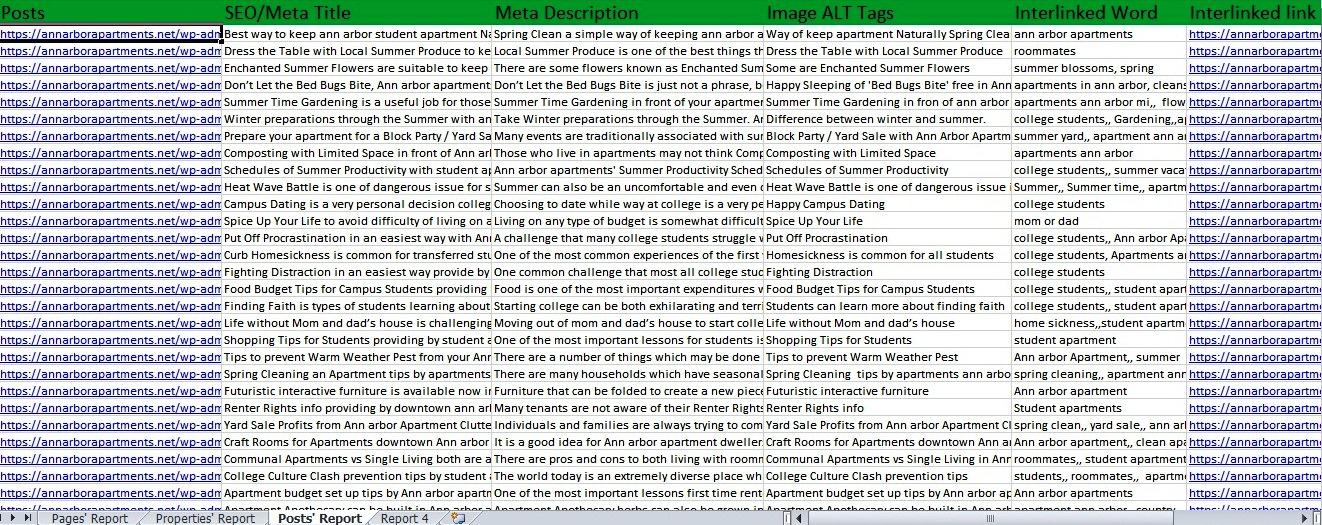 High-quality On-Page SEO Service including all features