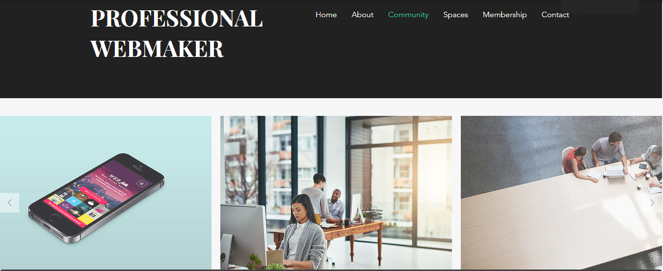 professional website maker in High quality