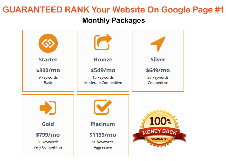 GUARANTEED RANK your Website On Google Page #1 , Monthly Package