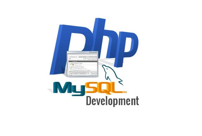 I can do any php related work