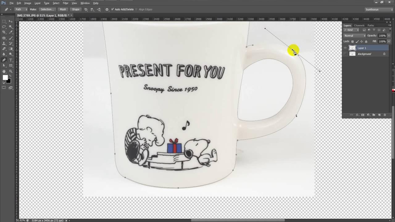 Do Cutout By Photoshop Manually 10 pics