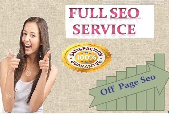 Give you full monthly seo work for your site 