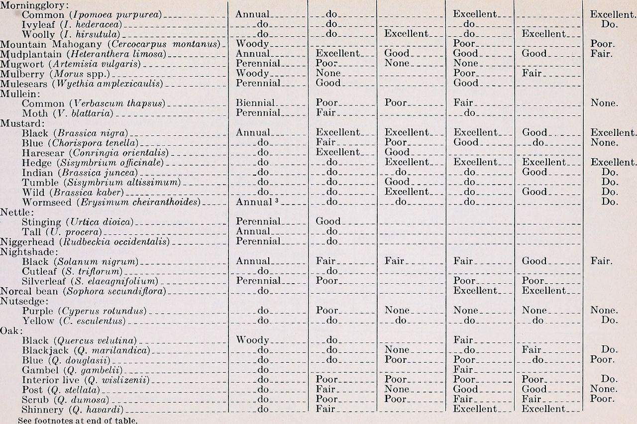 Big fast and Quick Data Entry Service 