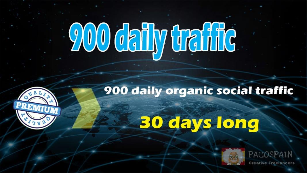 900+ organic & social WEB TRAFFIC for your site