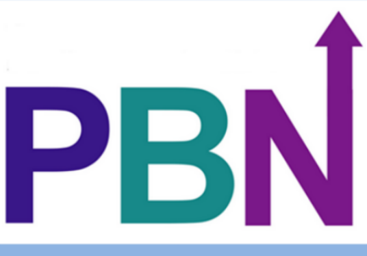 Custom offer for 9 packages 100 high quality PBN backlinks with your keywords