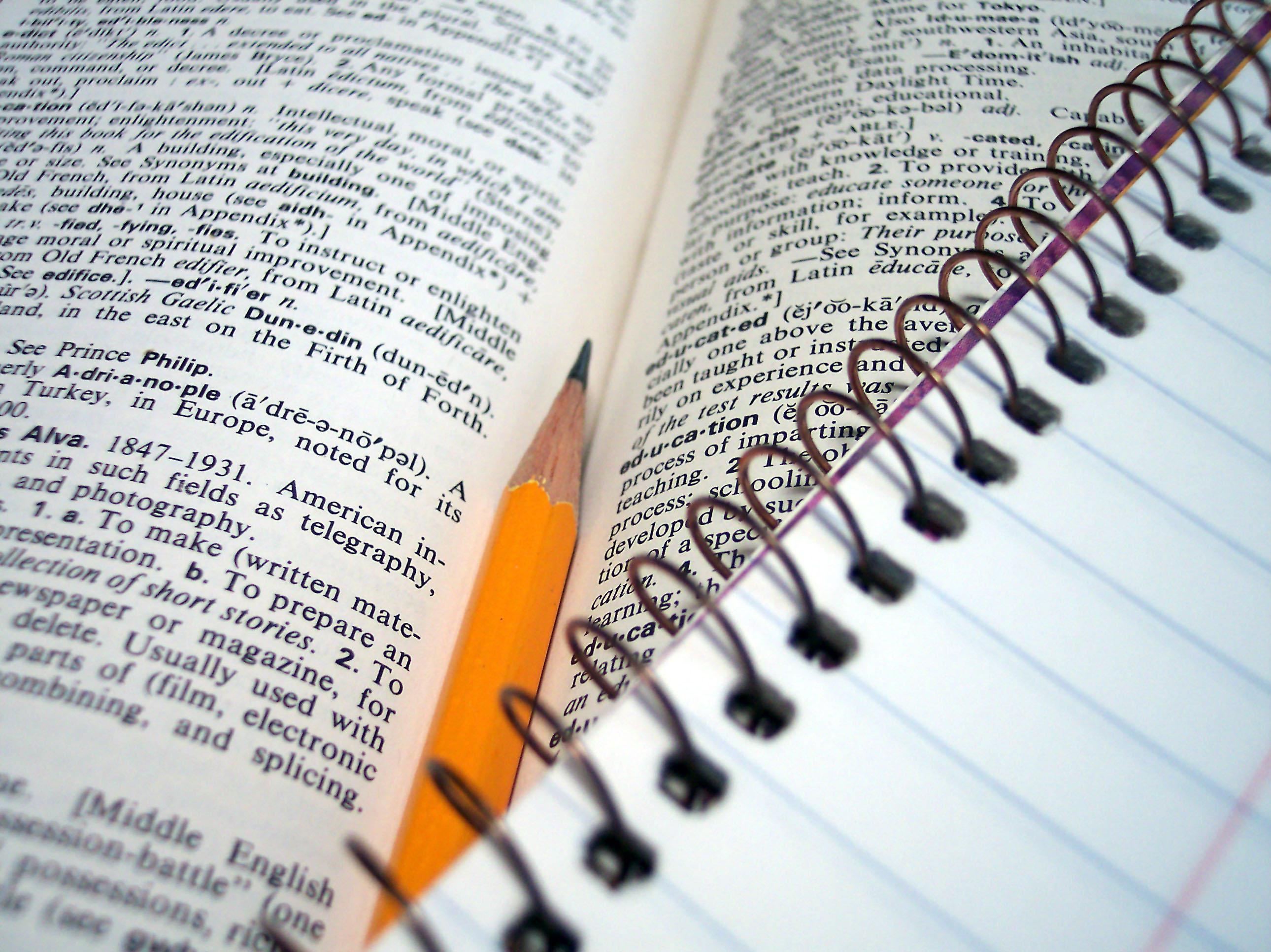 High quality, unique, 500+ word content articles