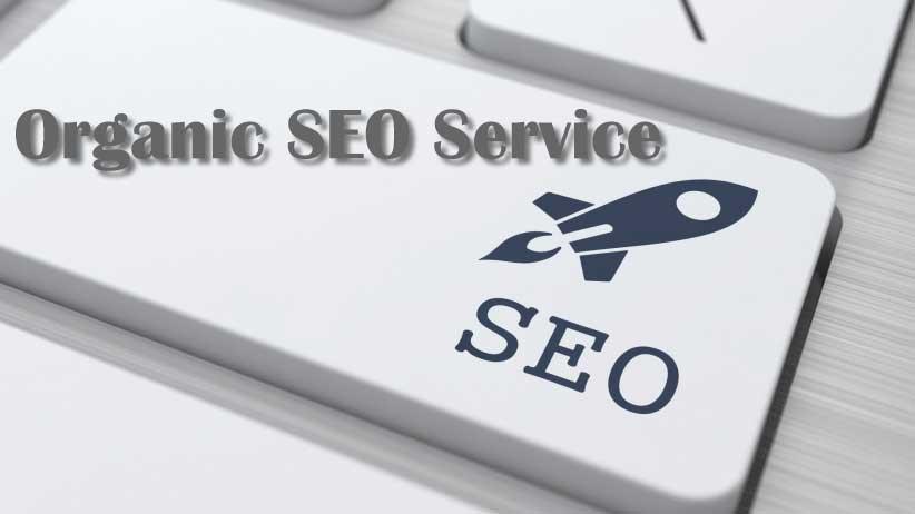 Looking for an organic SEO Service? ( Monthly )
