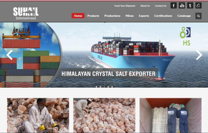 wordpress website development