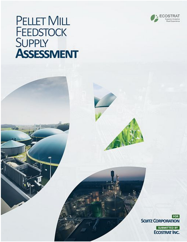 Will Design Professional Cover page For your Book Magazine . 