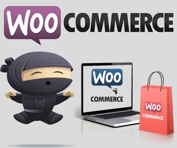 Design responsive SEO friendly Woocommerce website