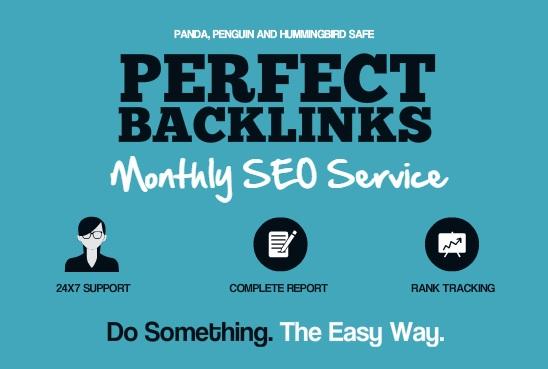 30 Days SEO Service, Daily Whitehat High DA Backlinks Package