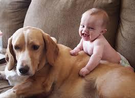 Give you amazing funny videos