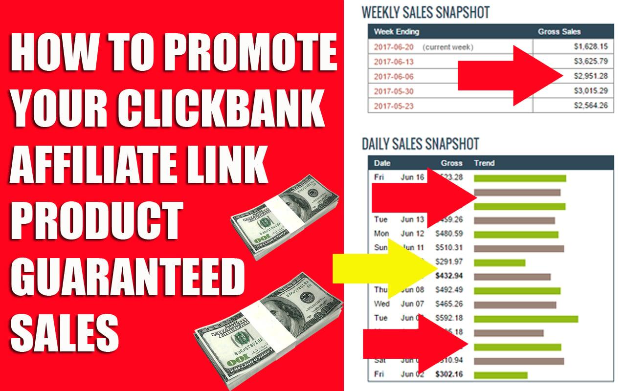 Unlimited,Web,Traffic,For 30 Days from "TURBO WEBSITE TRAFFIC"