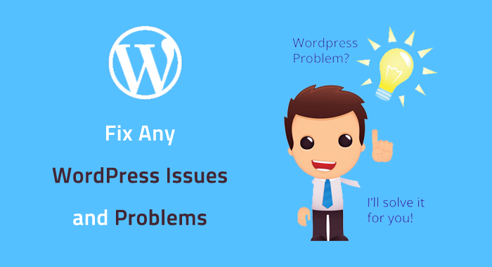 Fix Wordpress Errors, Issues, Problems And Design Theme
