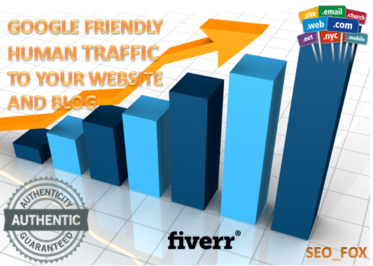 USA Targeted Website,Blog Traffic