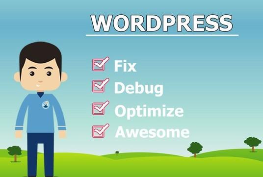 Fix WordPress Issues, Errors Or Problems