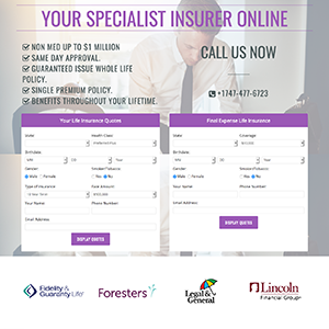 Professional Landing Page Package (Web Design)