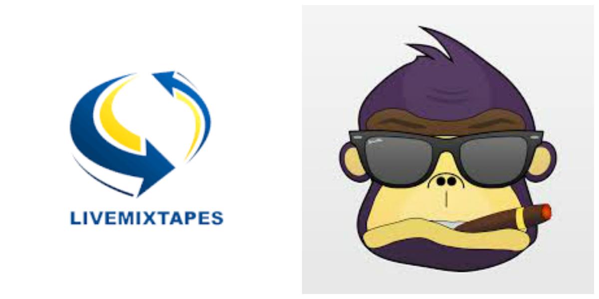 Professional Mixtape Upload Package (over 25 sites included)