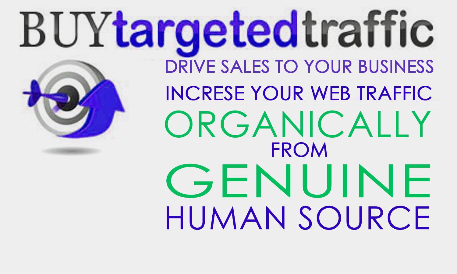 Drive 100,000 Real US, Europe, AU, Keyword Targeted Traffic low bounce rate visitors