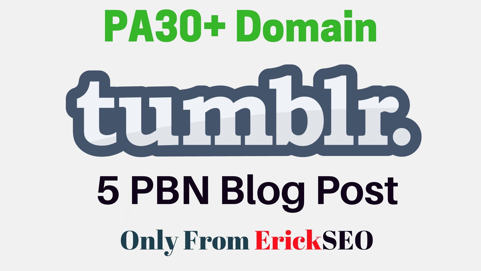 Get 5 PBN Backlinks PA30+ Backlinks With high Quality Content