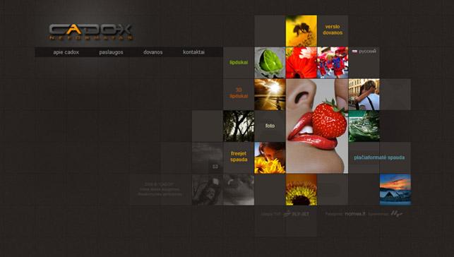 Design responsive website or web page