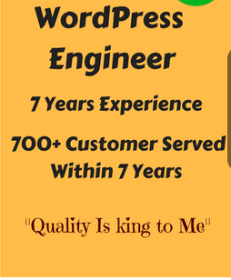 Provide you Complete WordPress website design