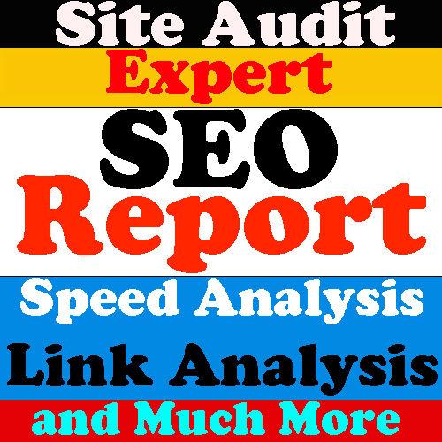 problems with your website, buy this full SEO website audit