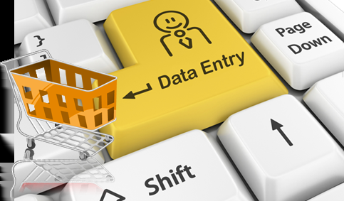 I do data entry and all writing work