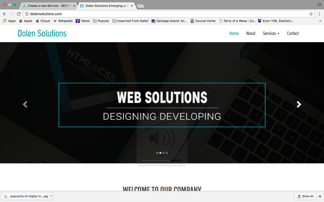 20 HighQualityBacklinks and FREE Analysis of Links by www.dolensolution.com