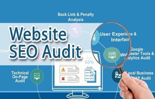Provide Expert SEO Report Plan,Competitor Analysis And Audit