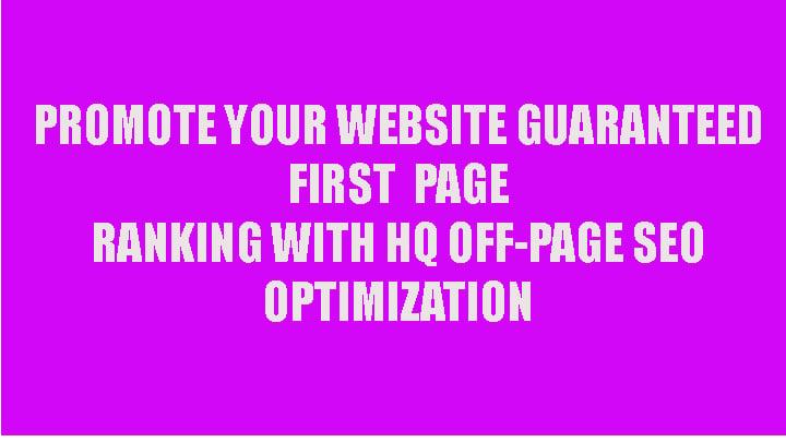 Promote your website and guaranteed rank on google 1st page with HQ off page seo optimization