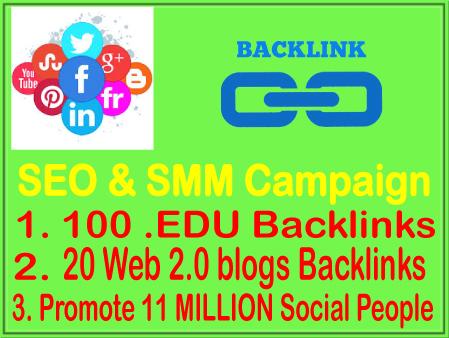 SEO & SMM Campaign- 100 EDU Backlinks-20 WEB2.0 Backlinks- Promote 11 Million Social fans  ﻿