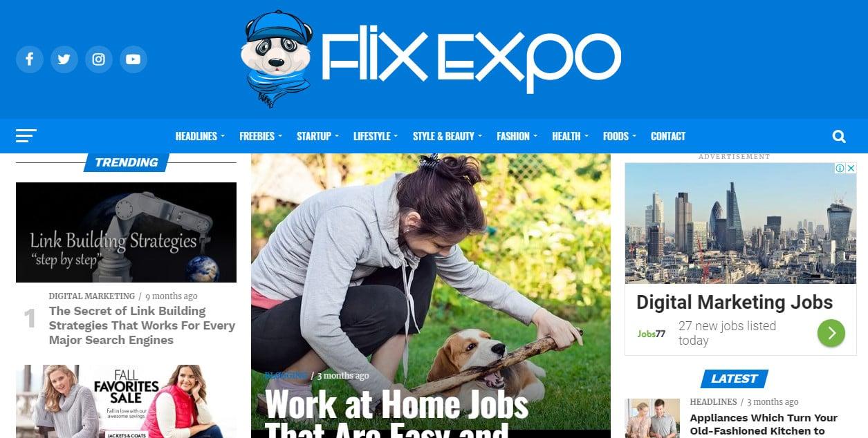 Guest post on Flix Expo with Quality Content Marketing