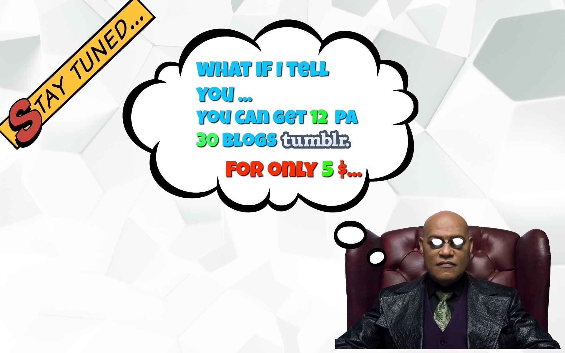 What if I tell you..You can get 12 PA 30 OR MORE TUMBLR DOMAINS..ONLY 