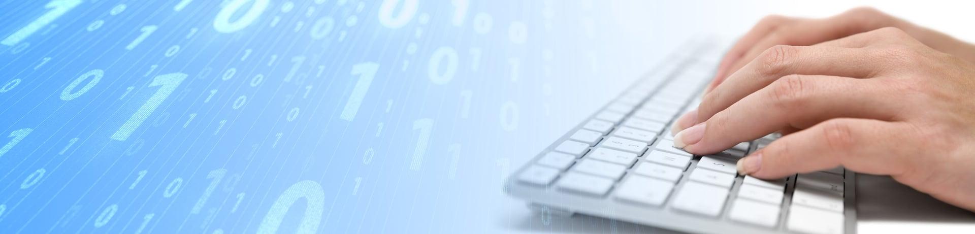 15 Pages Data Entry work do within 1 day