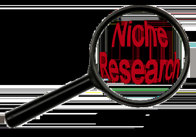 20 Highly Professional Niche Research