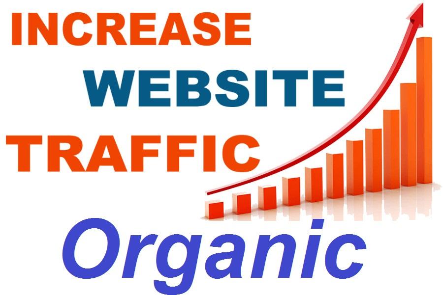 Special Offer Organic web traffic to Your WebSite (7500 Traffic ) 