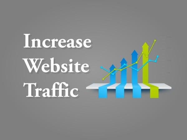 Niche Targeted 1,000,000 Website Traffic with Proof