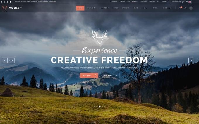 Customize Your Website By Avada, Jupiter, Be, Th7, Bridge Theme