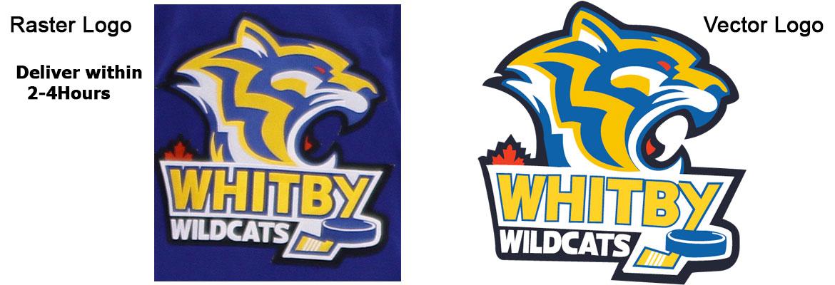 convert your logo or image to vector within 48hours