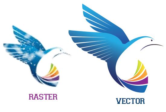 convert your logo or image to vector within 48hours