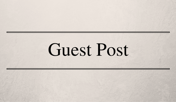 Paid Guest Post on My High DA & PA Personal Blog