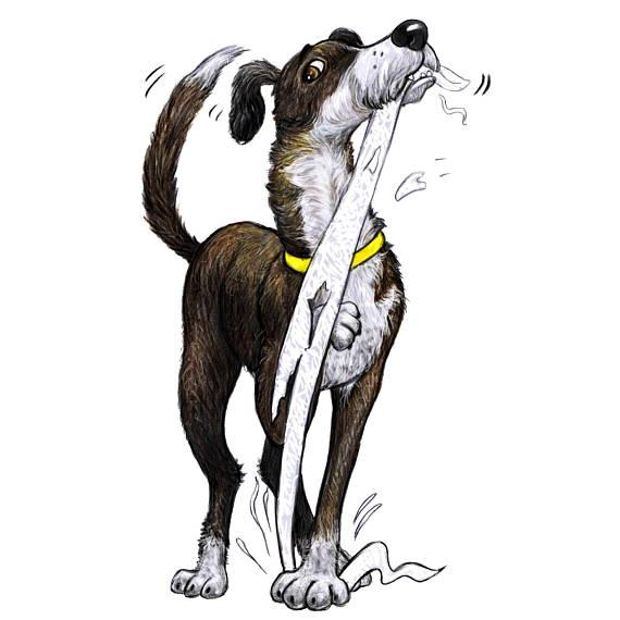 Pet Caricature from Photo