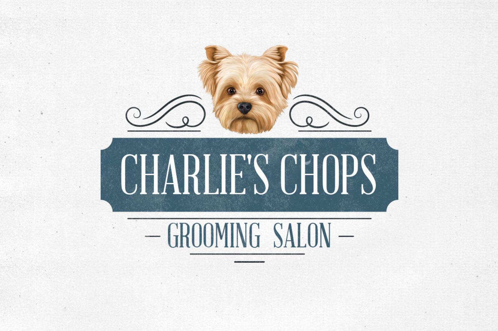 Logo Design in Any Style