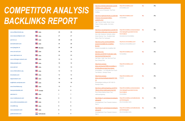Competitor Backlinks Spy Report
