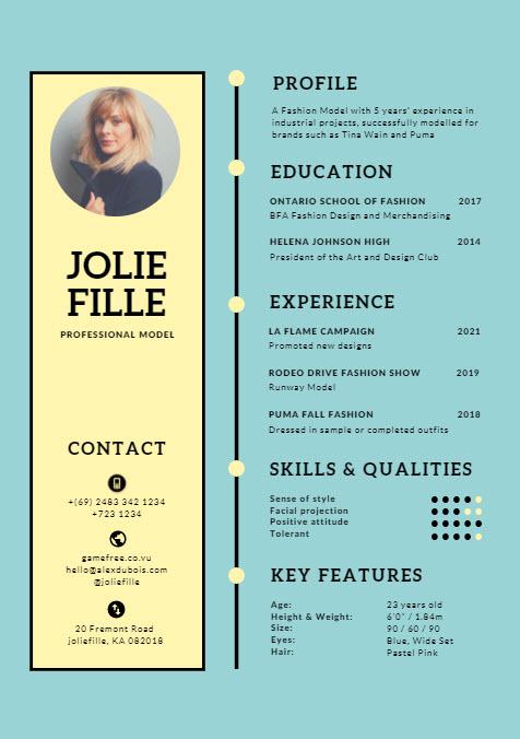 Provide A Professional Resume Writing Service Fast CV Resume