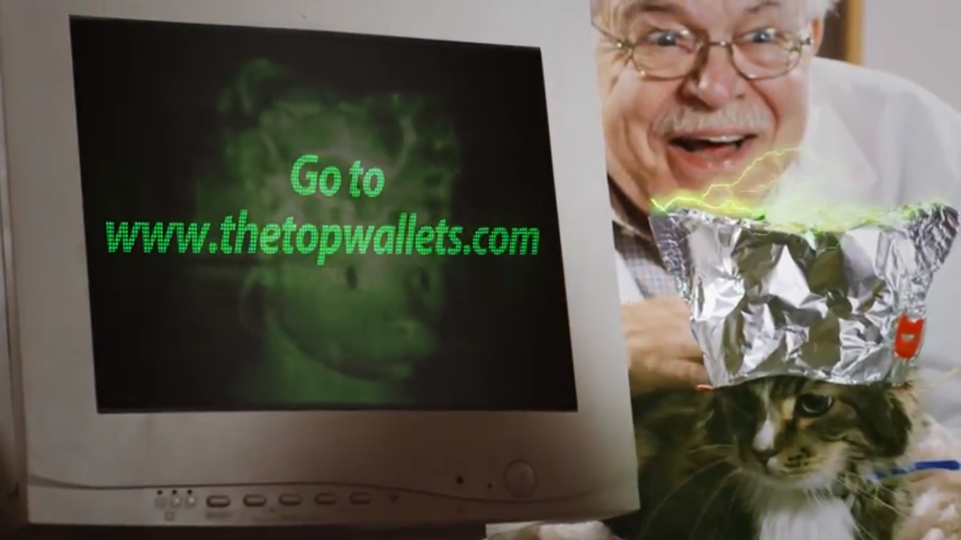 Make This Funny Promotional  Cat Video